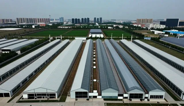 网络工程常见问题处理与日常维护建议